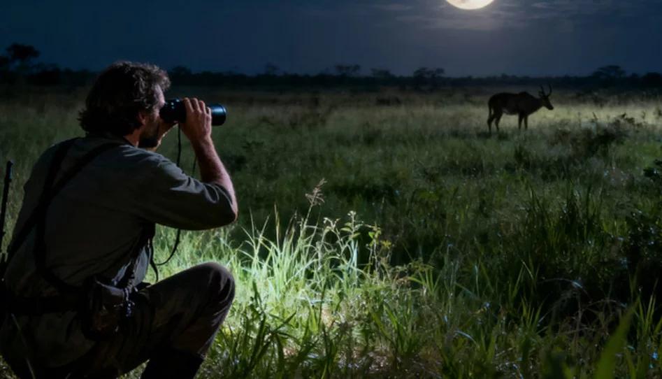NORA OPTICS Night Vision Devices: Advanced Vision Solutions for Hunting, Security, and Outdoor Exploration