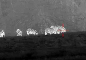 Thermal Imaging Camera for Oil and Gas Industry: Enhancing Safety and Operational Efficiency